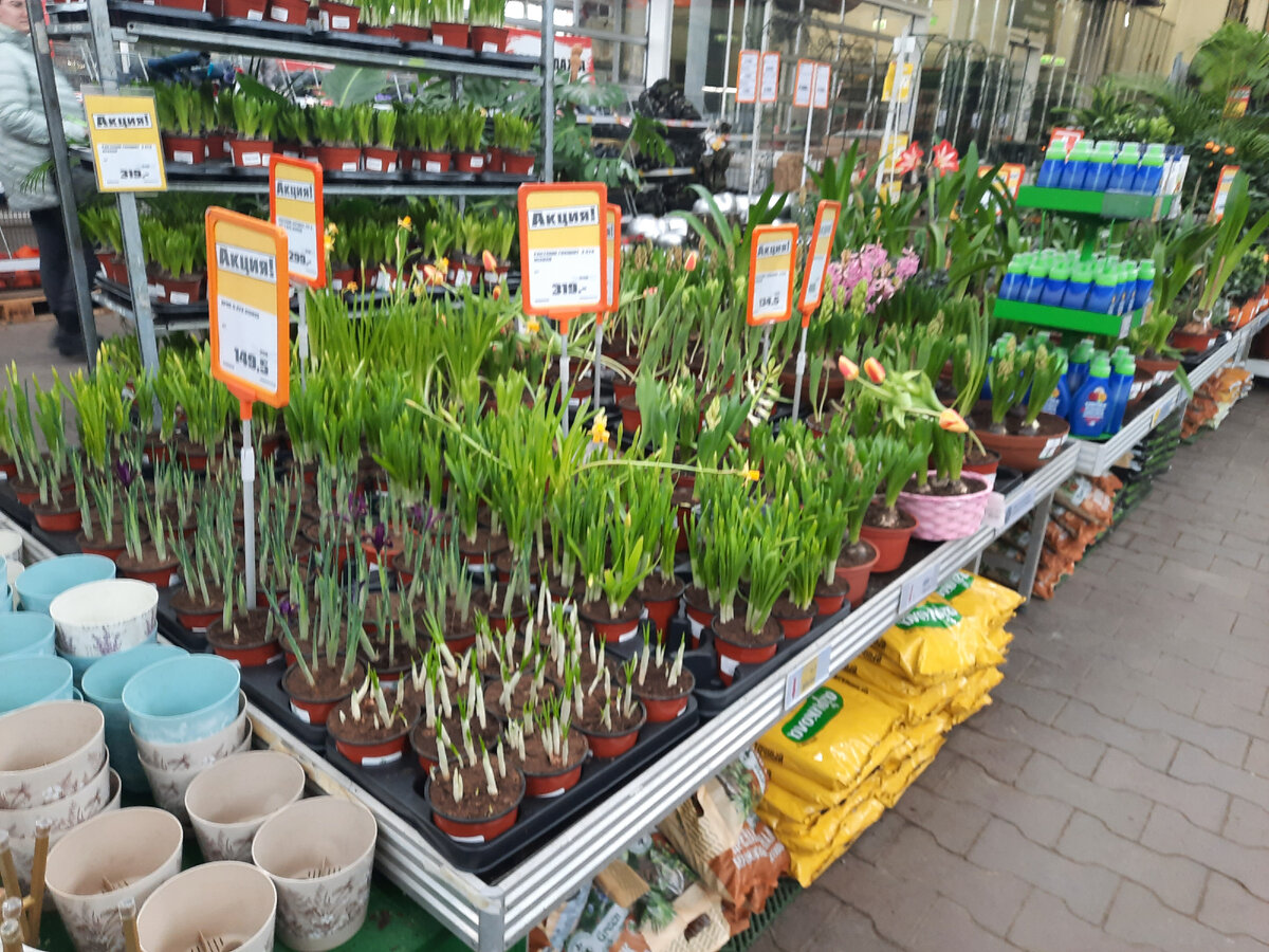 Садовая 84. Большая садовая 84 ростов на дону. Большая садовая 105 ростов-на-дону. Старые дворики ростов. Секонд хенд ростов.