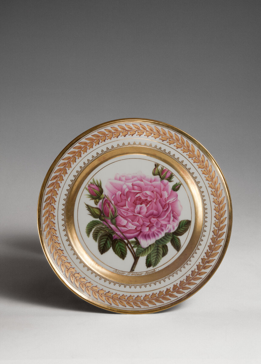 Тарелки с росписью (по ботаническому атласу П.Ж. Редуте). Архангельское, 1826-1827. Живописная мастерская князя Н. Юсупова