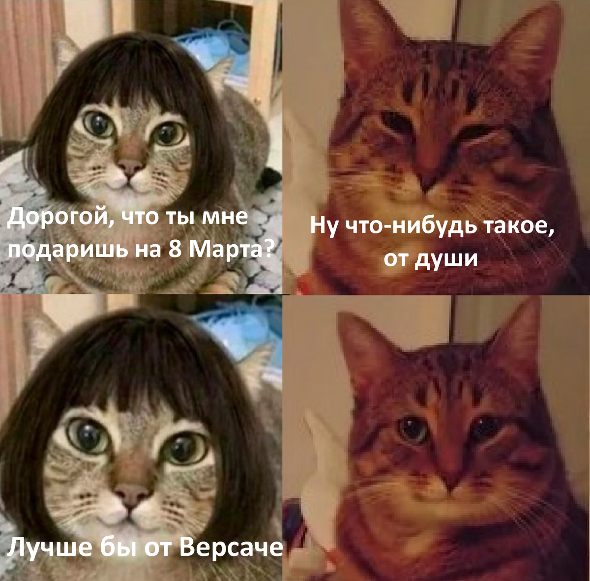 5. 6 a 1 10 a 1 2. 3а-2b+1/2c , если a(4,-2,3) b(0,5,-1) c(2,-4,8). (2-a)(1+b)решение. Нв 42-12-11.