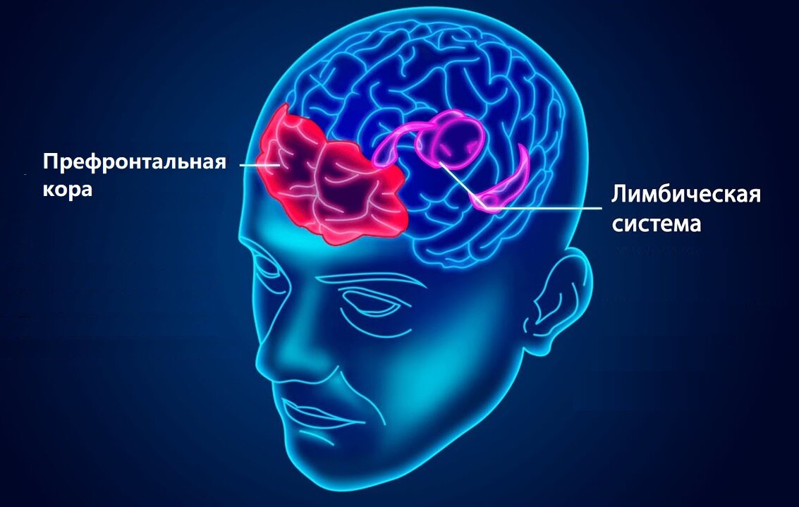 Фото из свободных источников