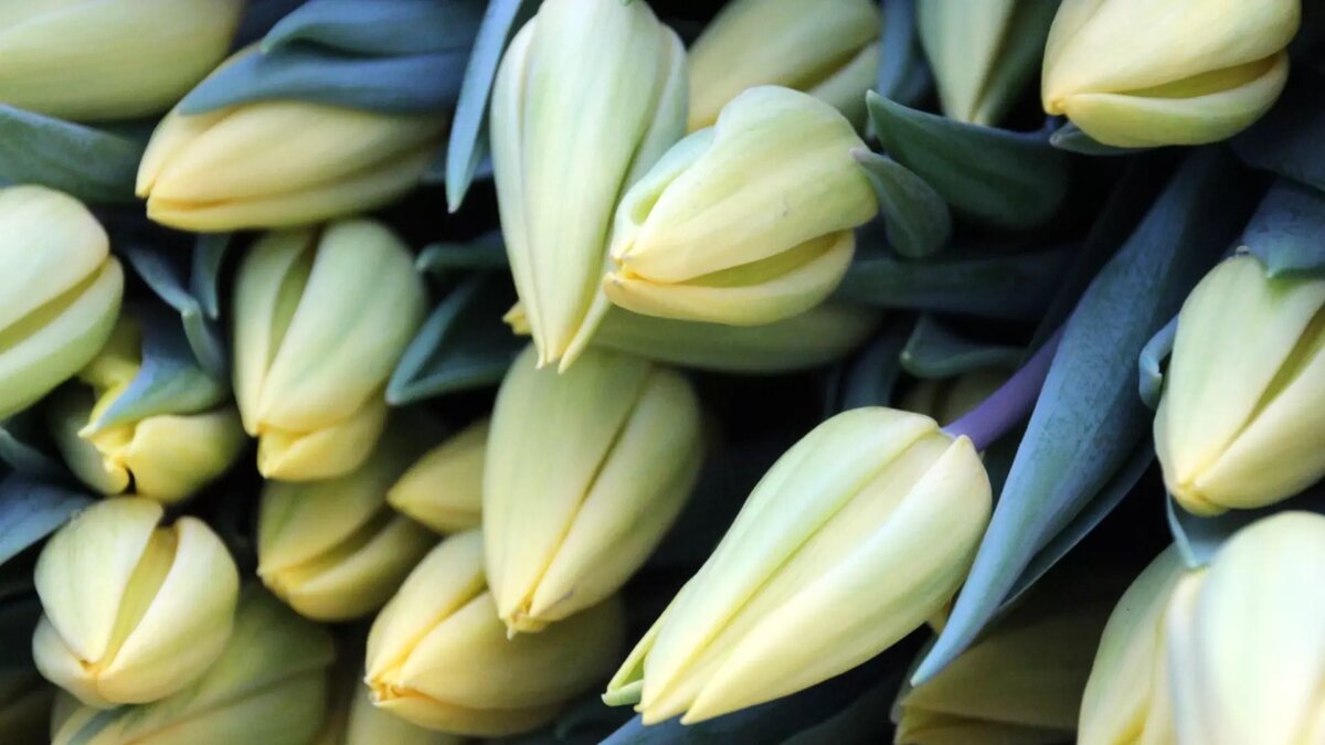     Матерей и жен участников спецоперации из Нижегородской области порадовали подарками к 8 Марта. Подробнее об этом рассказали в пресс-службе правительства региона.