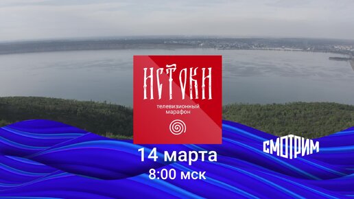 Проект новый день