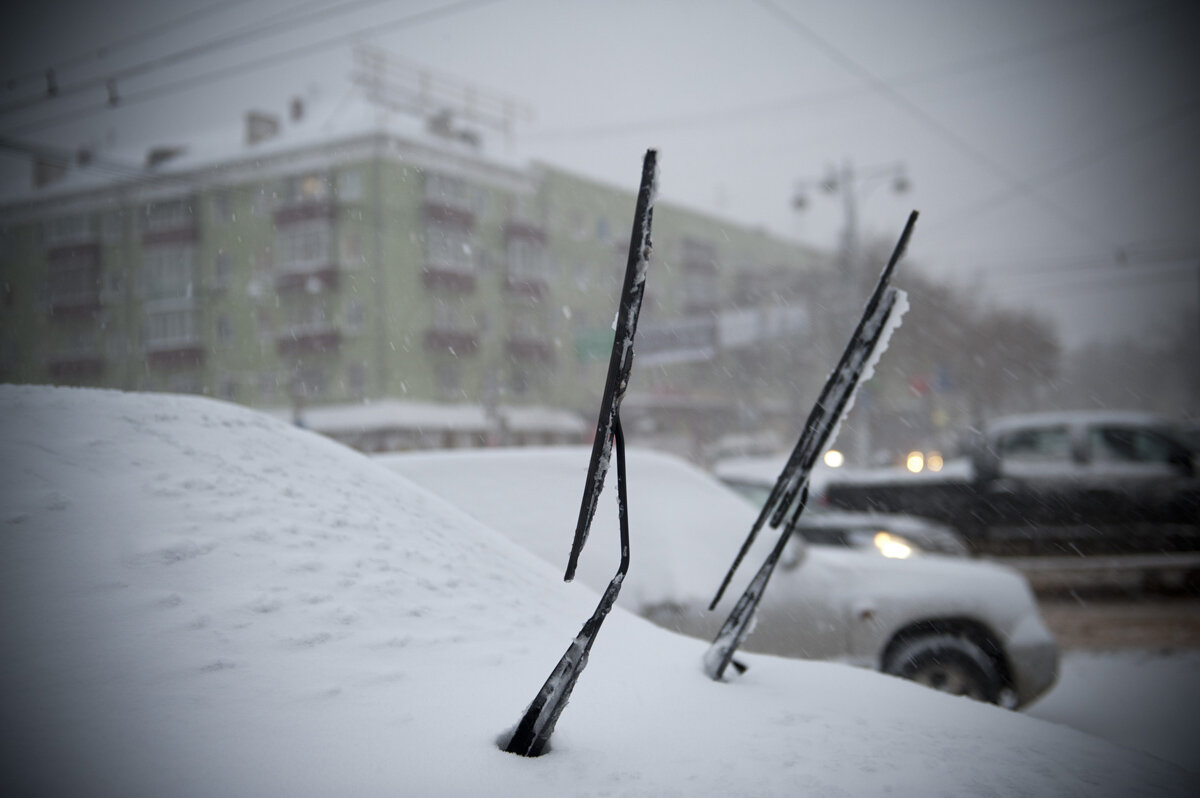    Фото: Константин Долгановский