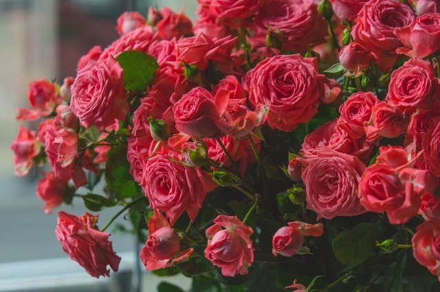    Как вернуть деньги за увядший букет?