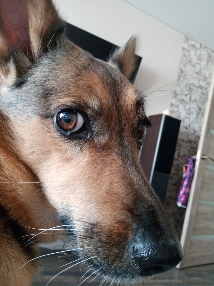 Грета Нектовна.