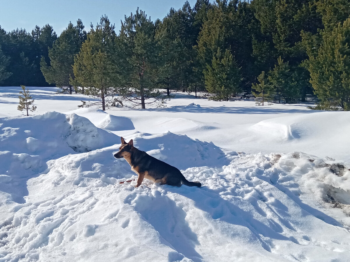 Фото из последней экспедиции, на котором наша героиня выполняет одновременно все три свои жизненные задачи.