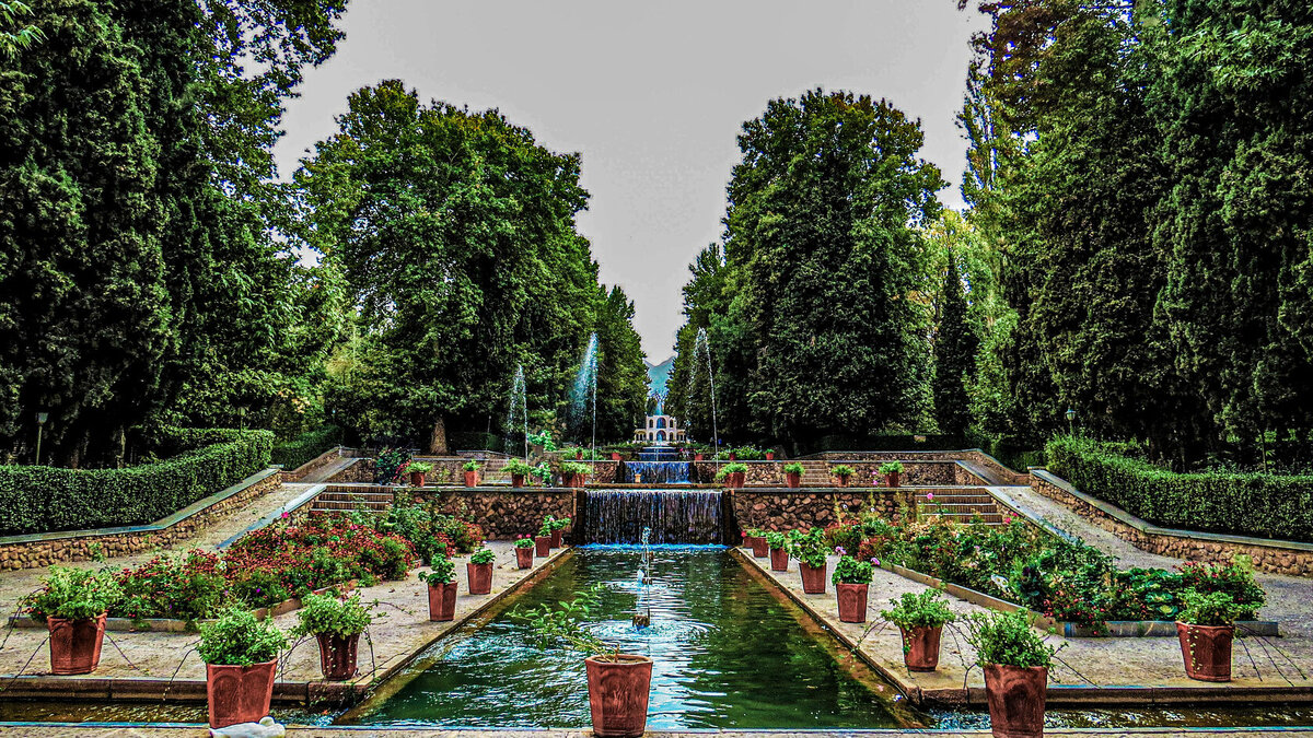  В саду растут сосны, кедры, вязы и фруктовые деревья. 