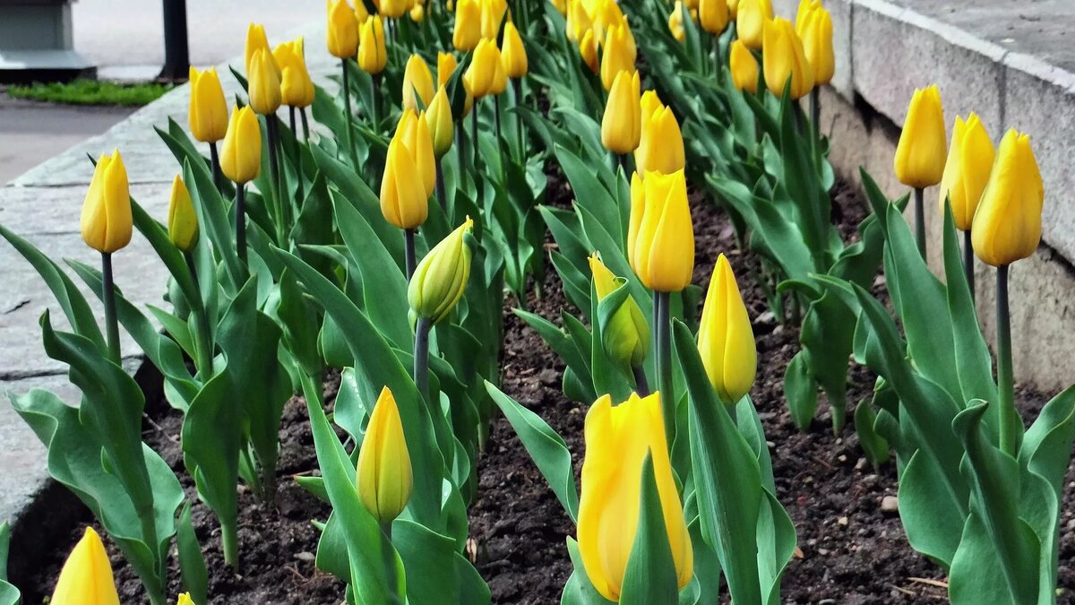 © Sputnik/Александр Мироглов