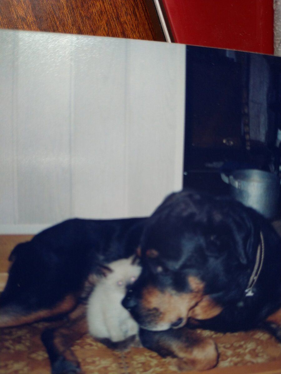 Самое безопасное место