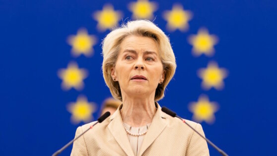    Европейская народная партия проголосовала за новый срок главы ЕК Фон дер Ляйен Алина Городниченко