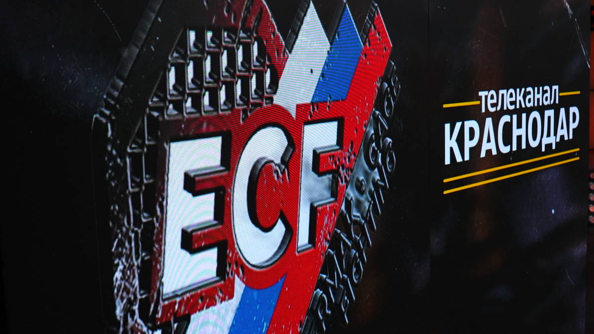    Телеканал «Краснодар» подписал соглашение о сотрудничестве с краснодарской федерацией ММА. Фото: телеканал «Краснодар»
