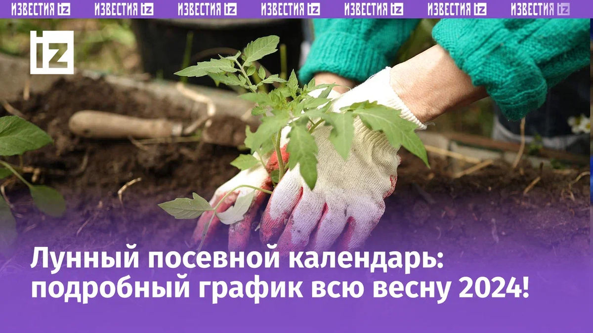 лунный календарь садовода беларуси на 2024 год. календарь садовода лунный календарь 2021. луныцкаьендарь садовода. календарь для огородников. лунный календарь садовода и огородника на 2021 год для урала.