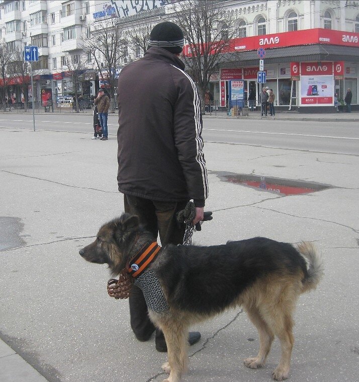 7 марта 2014 года. Одно из немногочисленных фото, сохранившееся на телефоне