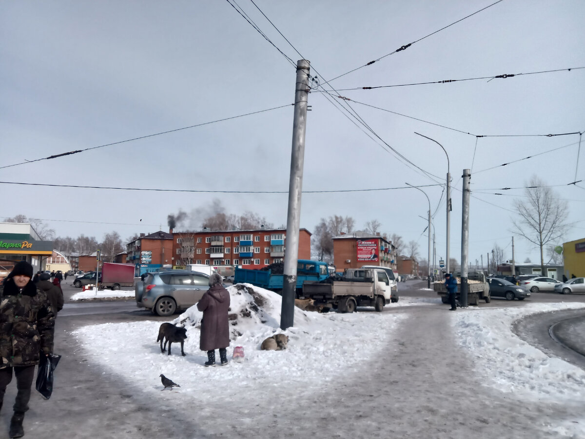 В машинах уголь и дрова на продажу