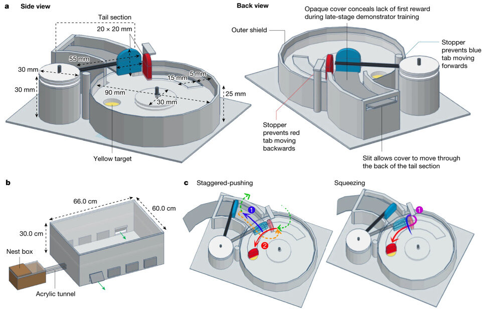   Alice D. Bridges et al. / Nature, 2024