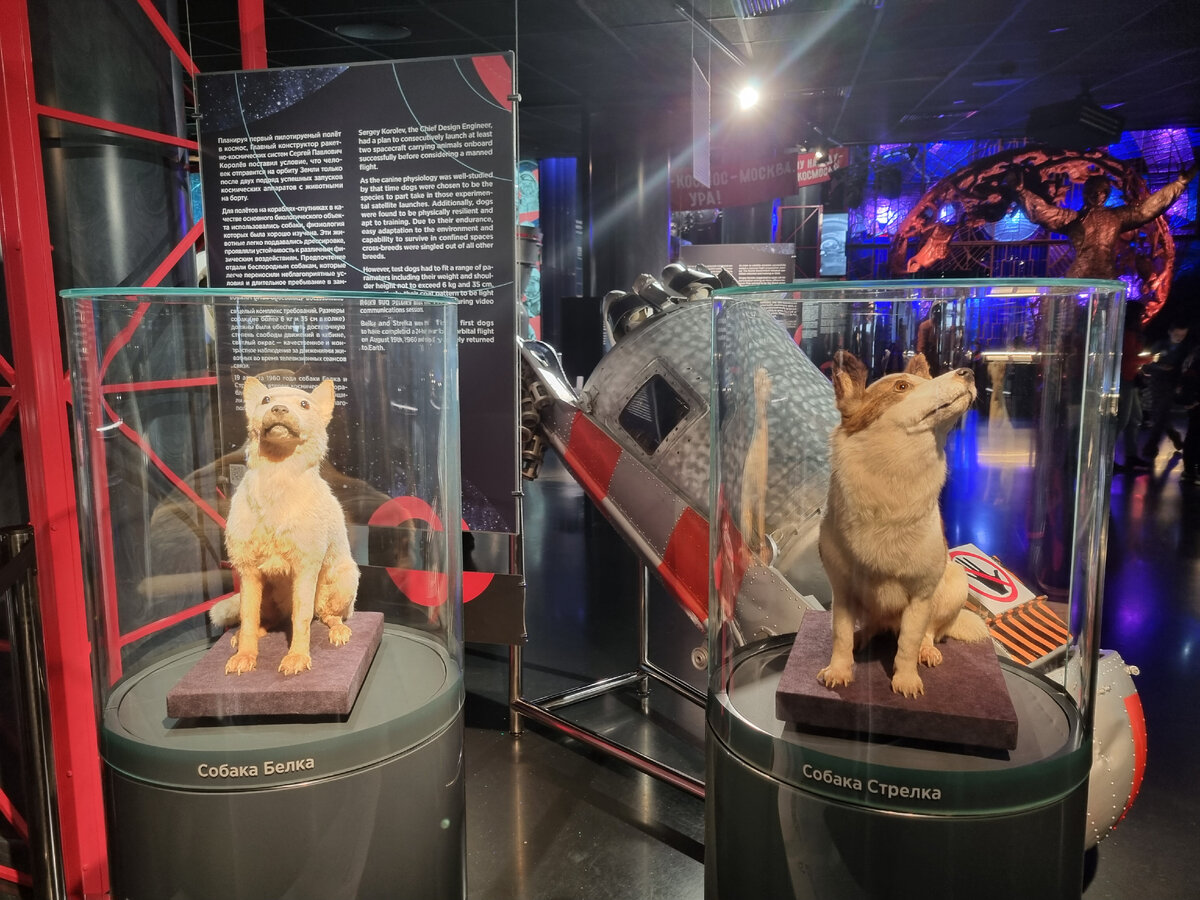 Фото к ответу на вопрос 1.