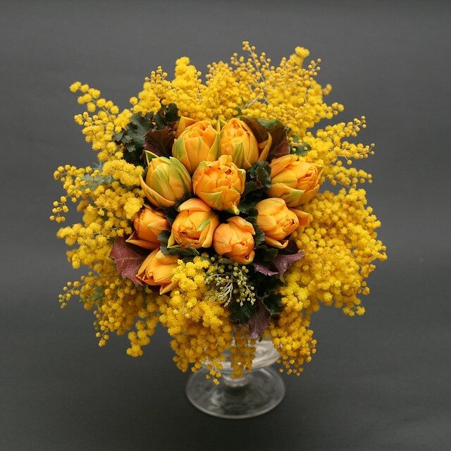 Из открытого доступа