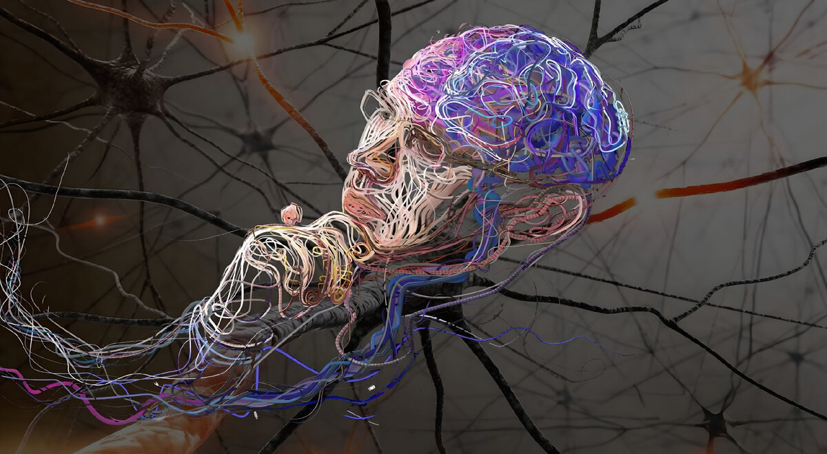 Фото: https://clck.ru/39HBwV