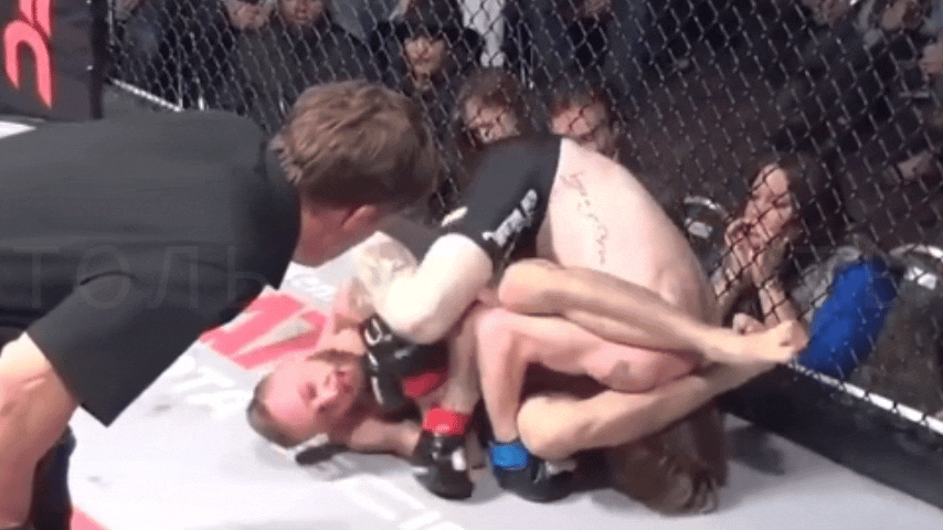 Ну красавчик же? 