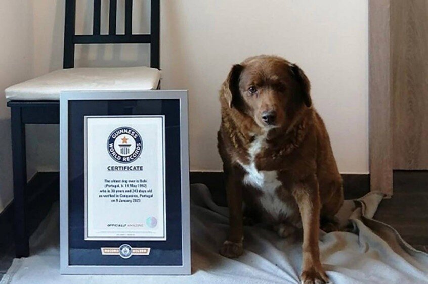 Фото с Яндекс картинки