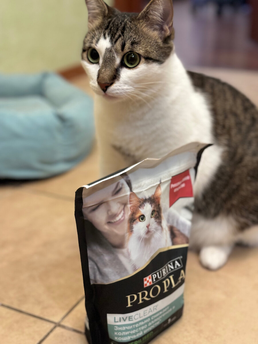 Последние пачки корма