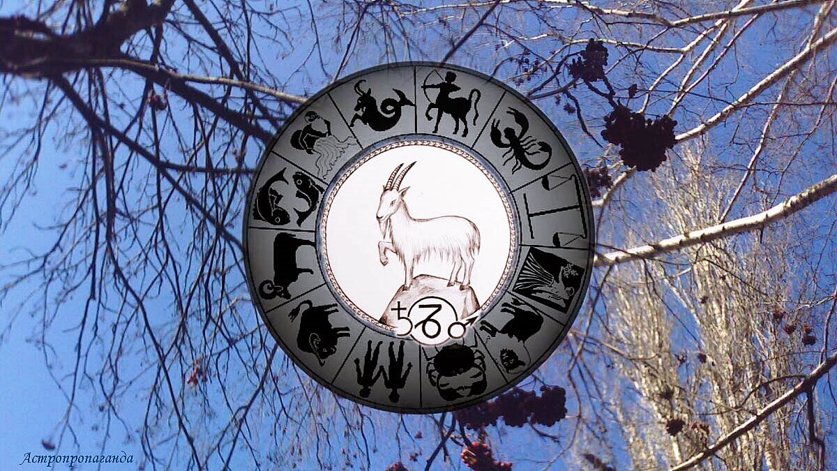 Гороскоп для Козерога с 4 по 31 марта 2024. 