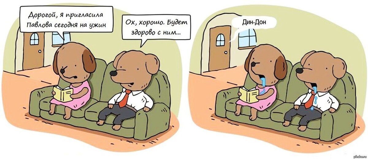 коротко об условных рефлексах