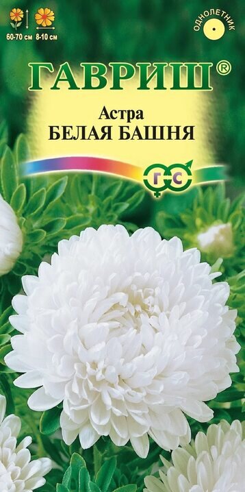 Фото из открытого источника. 
