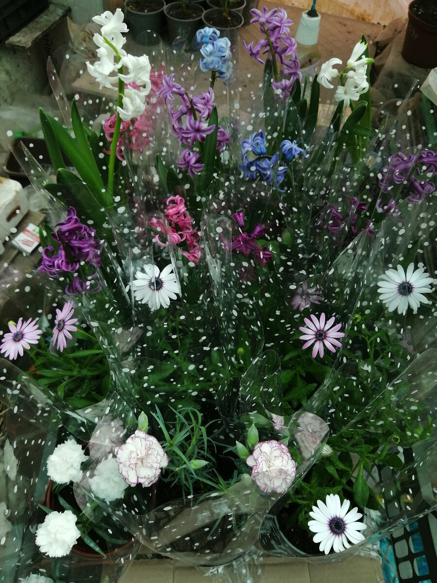 В этом году больше зелени, чем цветов 