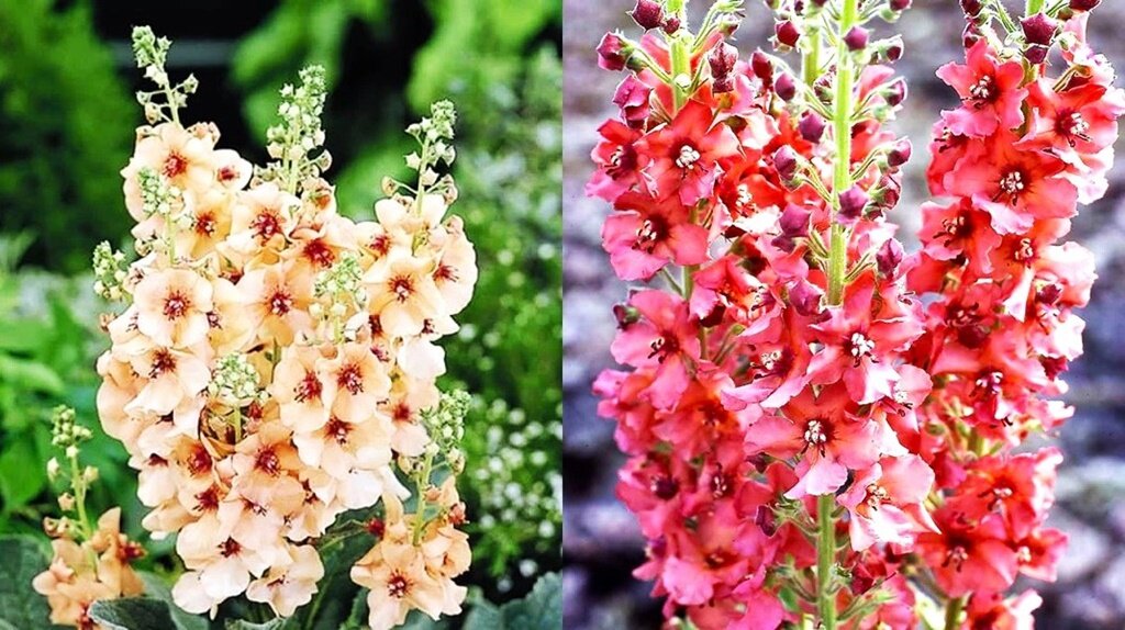 Листайте галерею для просмотра фото. 