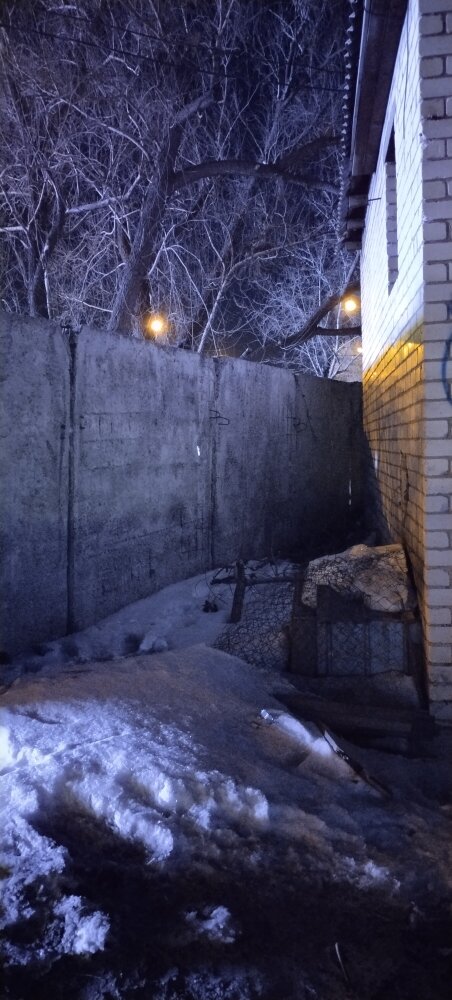 Фото автора. Место с будкой, где жил Черныш.