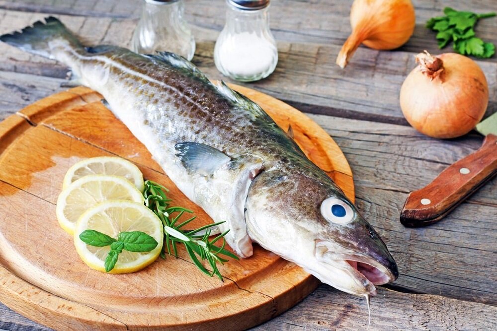 семейство осетровых и лососевых рыб. рыбы республики коми. виды рыбных продуктов. длиннорылый осетр. мальки сибирского осетра.