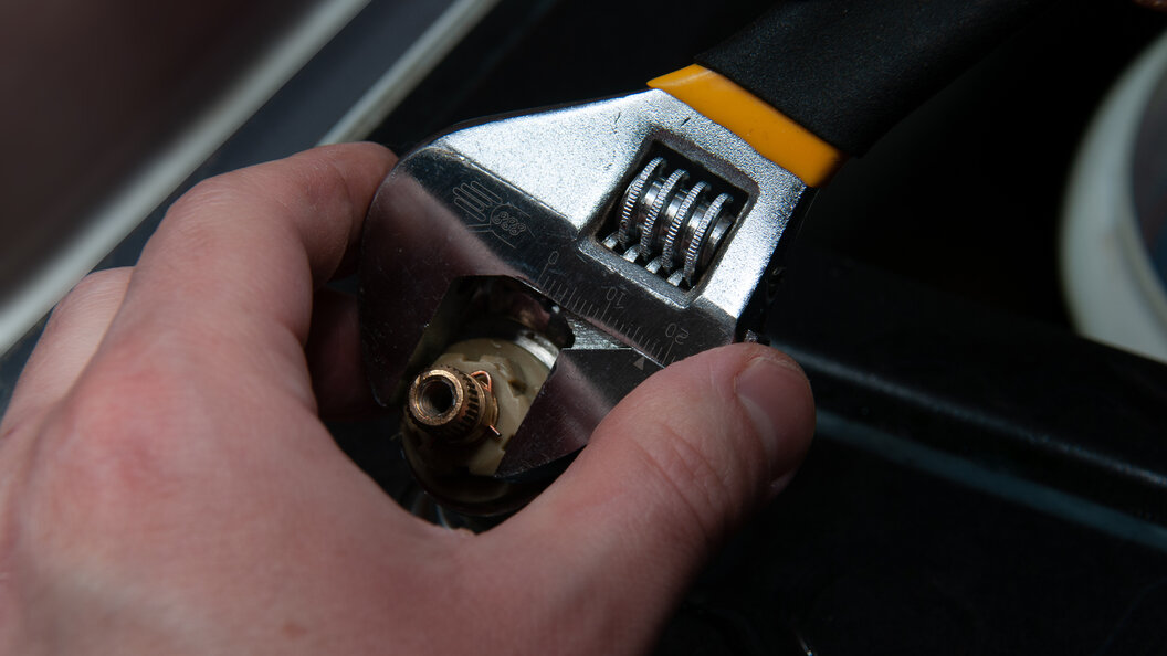    Фото: Svetlana Vozmilova/Globallookpress