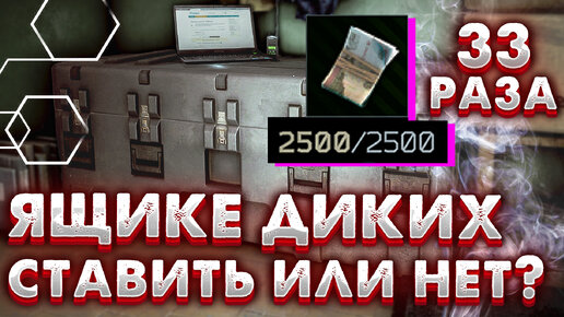 Нужен ли Ящик Диких в 2024? 🎥 +33 Отправления за 2500