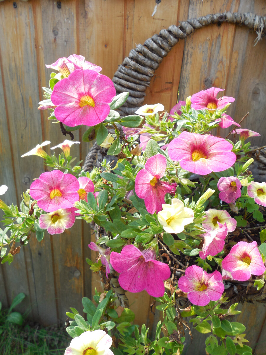 Декоративная деревянная стенка и цветочное оформление