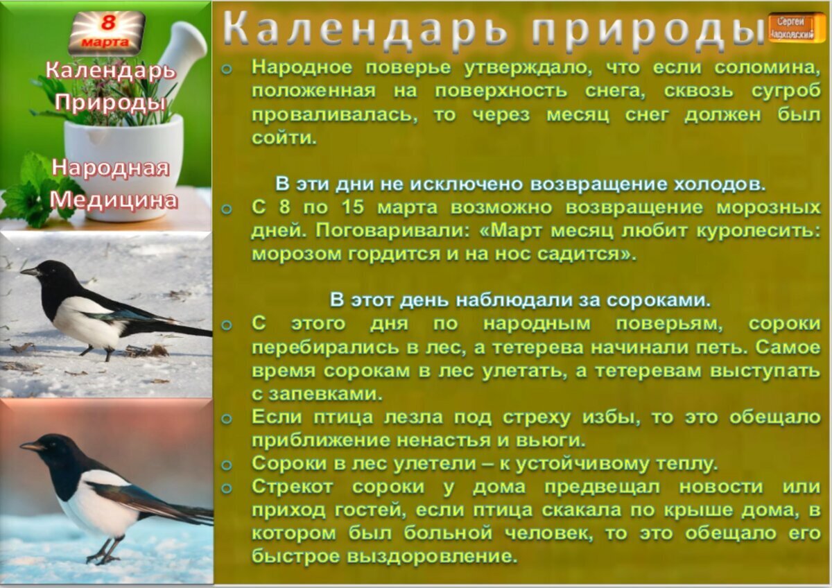 8 марта - Приметы, обычаи и ритуалы, традиции и поверья дня. Все праздники  дня во всех календарях. | Сергей Чарковский Все праздники | Дзен