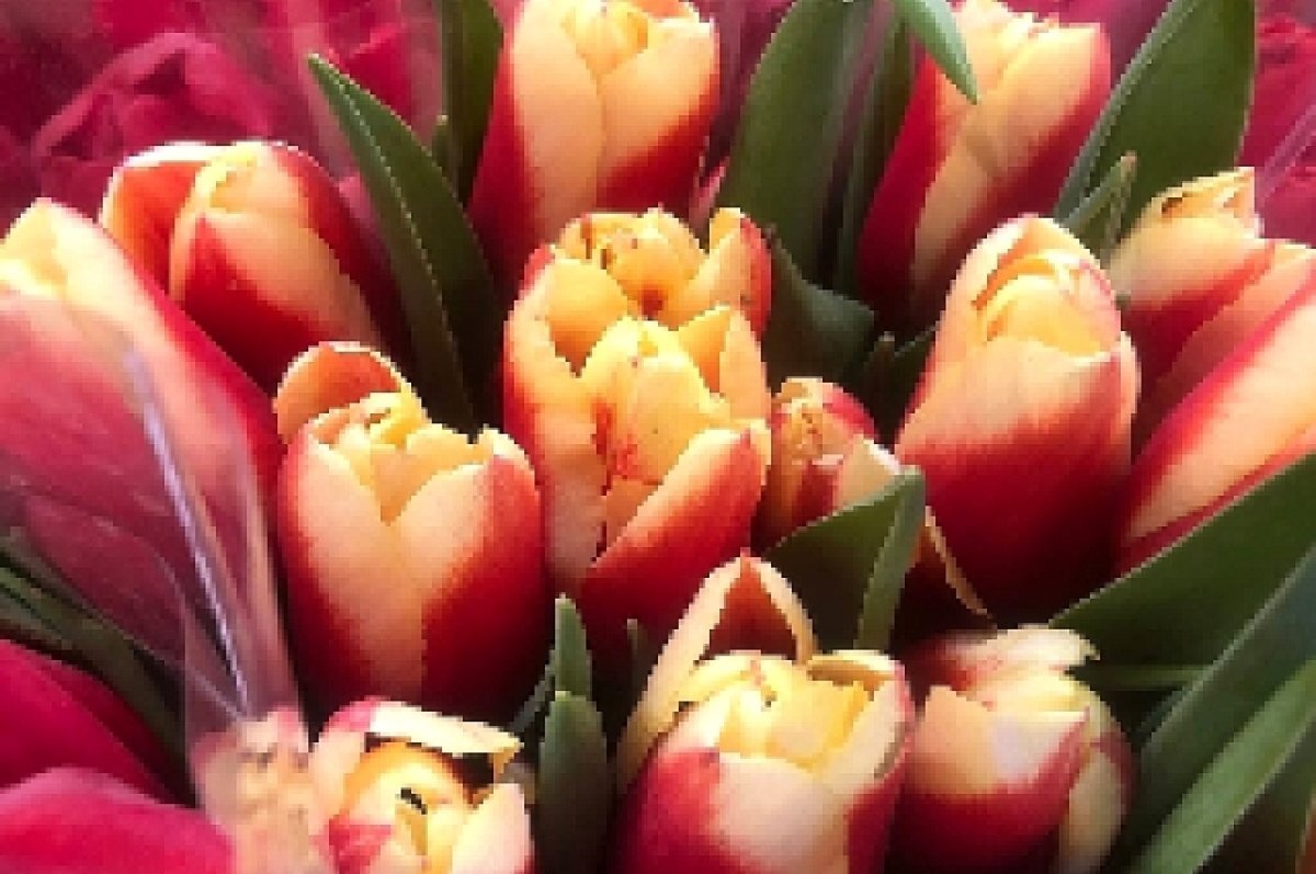    В Ростове в международный женский день 8 марта выглянет солнце