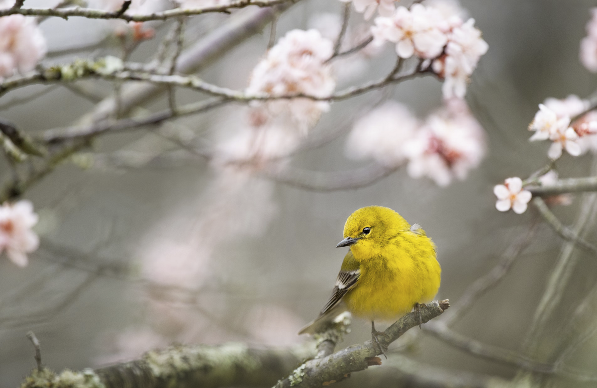Фото unsplash.com