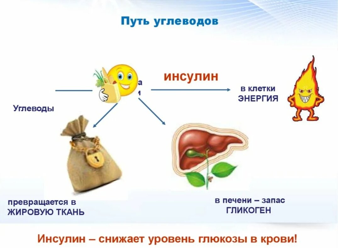 ВЕС, ИНСУЛИН, ЗДОРОВЬЕ, САХАР. КАКАЯ СВЯЗЬ У ЭТИХ СЛОВ? | Творческая семья  | Дзен