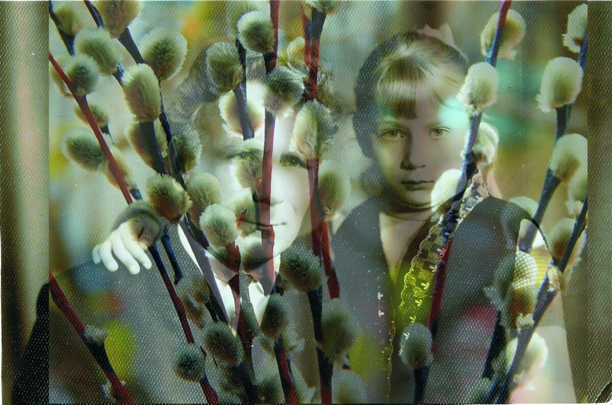 Папа, я и "котики".