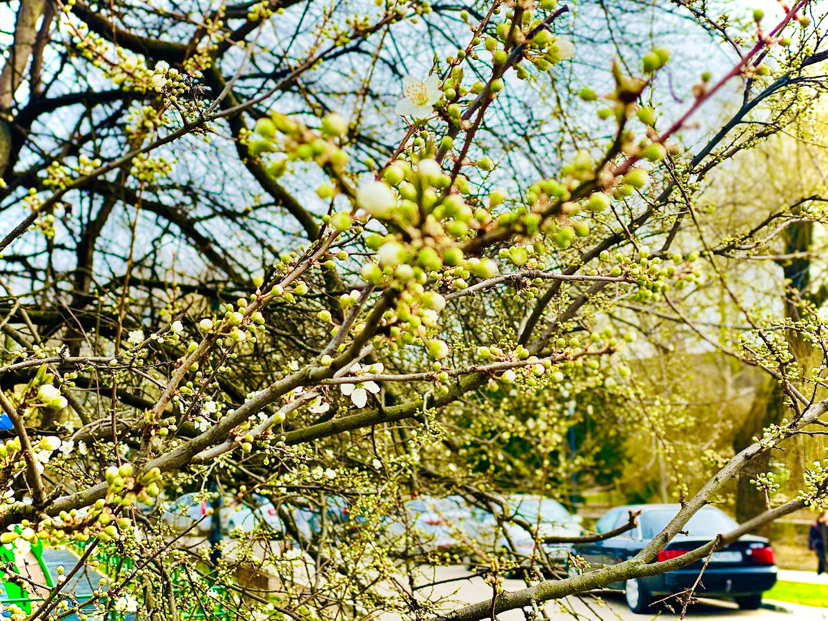 📸📍Крым, Симферополь