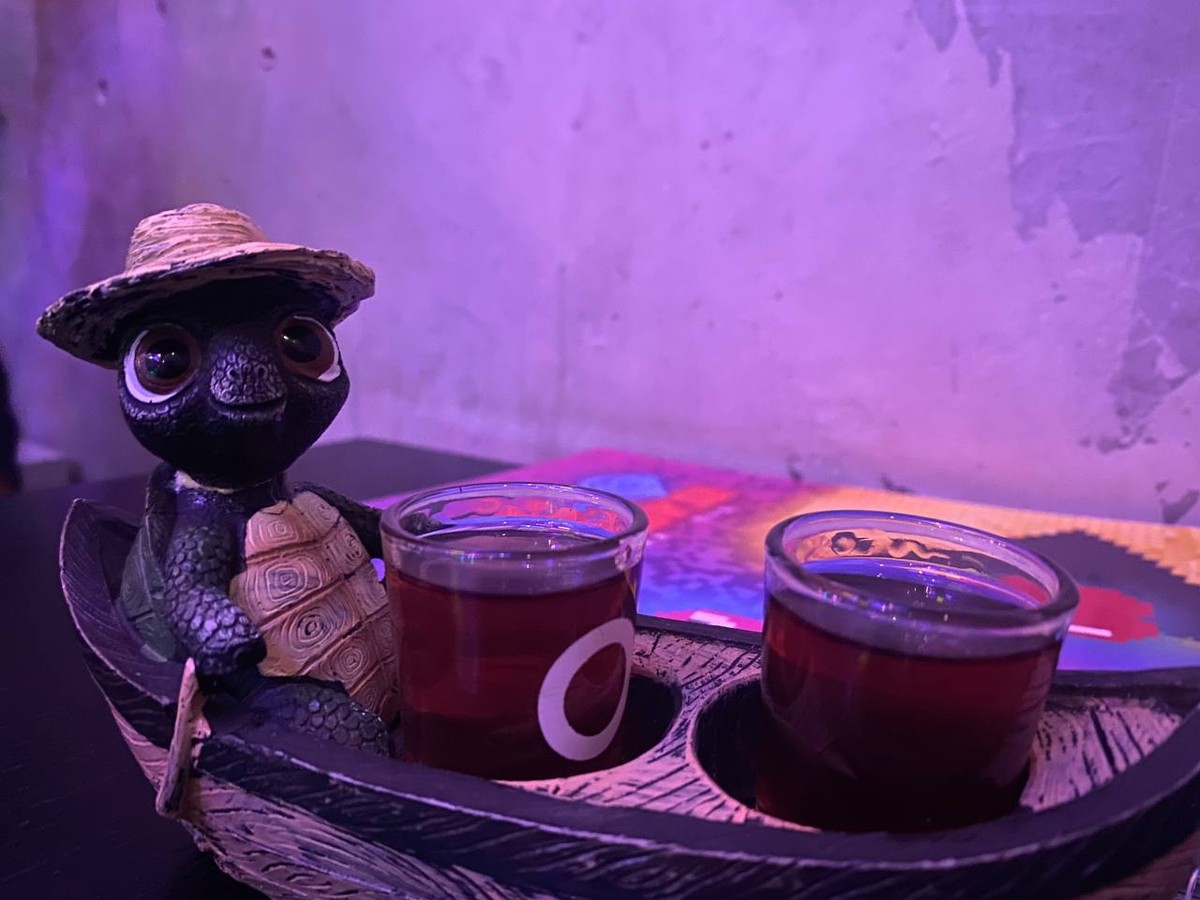 "Якорь Мао": черепашка плывет по великой китайской реке