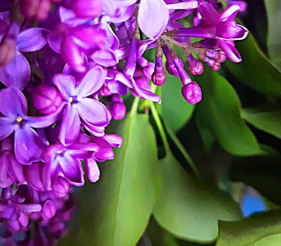 Фото принадлежит автору канала.