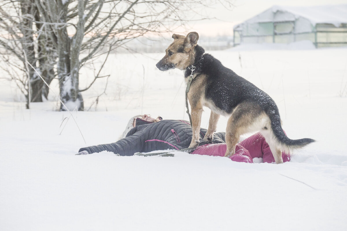 Волонтерам благотворительного проекта "Ветер Перемен" всегда нужна помощь!