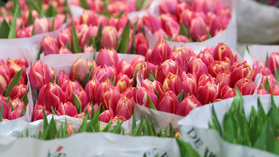    Фото: Bulkin Sergey/news.ru/Globallookpress