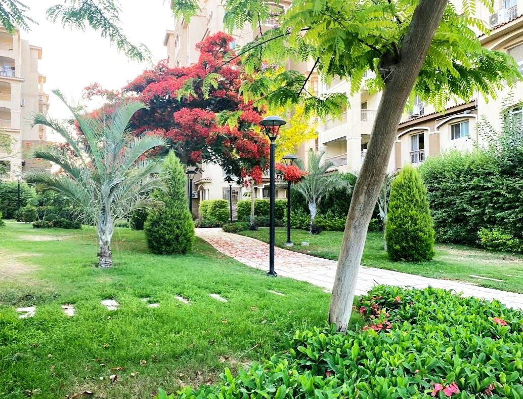 Мадинати - пригород Каира