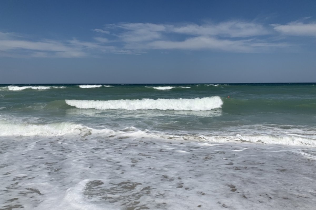    «Предвещающих катастрофу» рыб заметили в Адриатике впервые за много лет