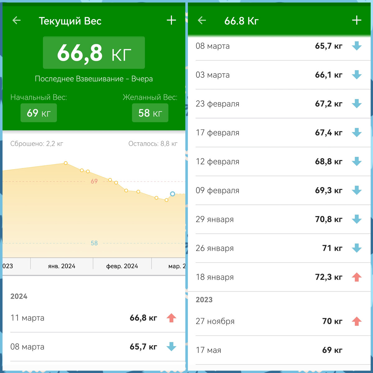 Скрин из приложения Фэт сикрет 
