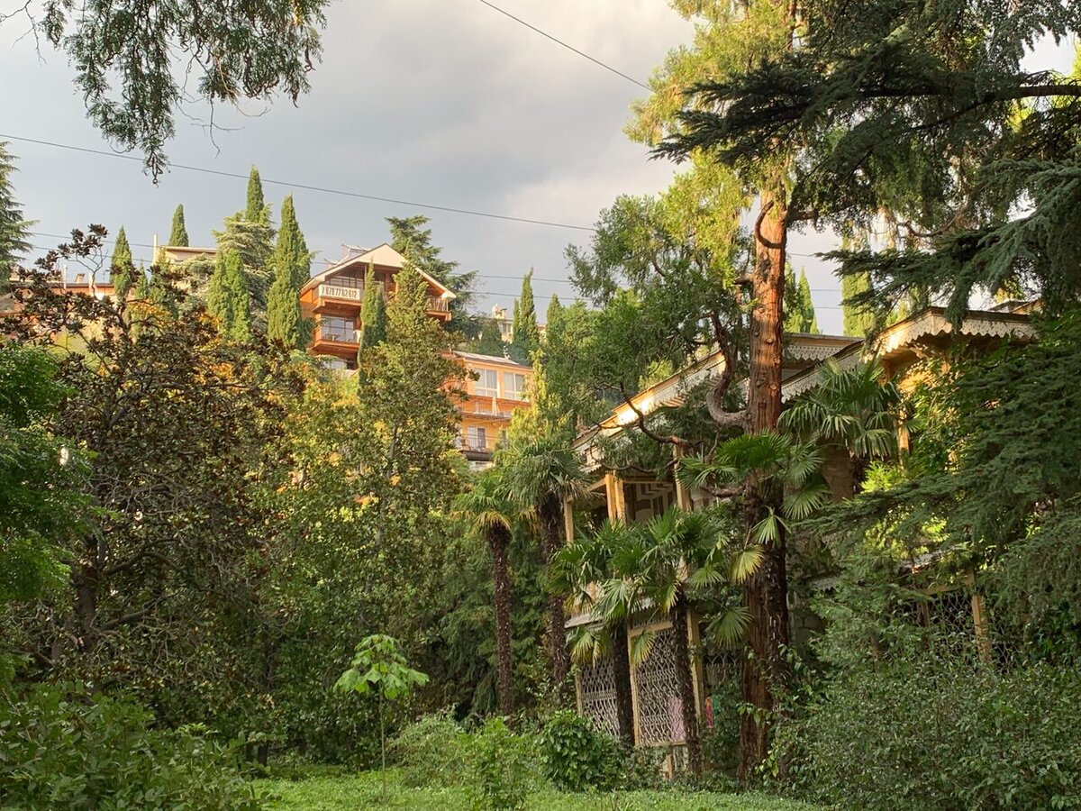  Санаторный комплекс "Гурзуфский". Фото: https://yandex.ru/maps Автор: Андрей Волик