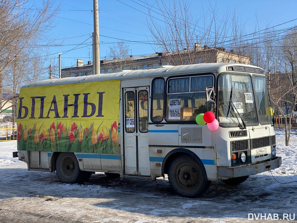 Вы не готовы: цветочники заманивают хабаровчан за тюльпанами «пацанскими»  мемами (ФОТО) | dvnovosti.ru | Дзен